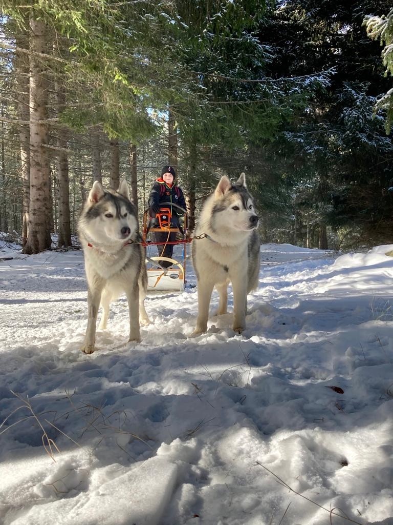 Husky Family
